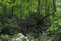 Undeveloped Land for sale in Transylvania County, North Carolina