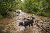 Property for sale in Taos County, New Mexico