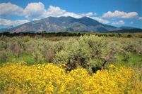 Property for sale in Taos County, New Mexico
