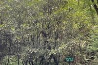 Property for sale in Macon County, North Carolina