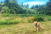 Property for sale in Pacific County, Washington