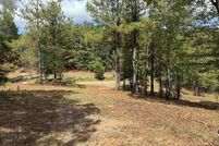 Undeveloped Land for sale in Coosa County, Alabama