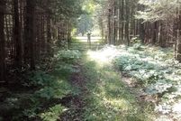 Property for sale in Mackinac County, Michigan