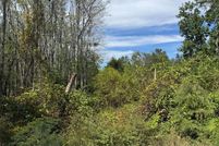 Undeveloped Land for sale in Appling County, Georgia