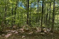 Property for sale in Carroll County, New Hampshire