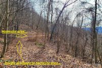 Undeveloped Land for sale in Haywood County, North Carolina