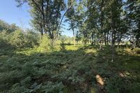 Property for sale in Mecosta County, Michigan
