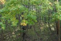 Property for sale in Mecosta County, Michigan