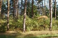 Waterfront Property for sale in Mecosta County, Michigan