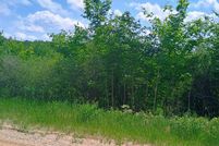 Undeveloped Land for sale in Kalkaska County, Michigan