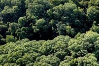 Property for sale in Ottawa County, Michigan