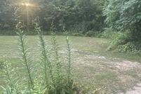 Property for sale in Mecosta County, Michigan