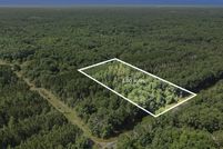 Undeveloped Land for sale in Mecosta County, Michigan