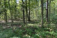 Property for sale in Midland County, Michigan