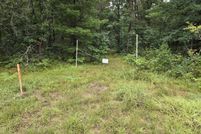 Undeveloped Land for sale in Lake County, Michigan