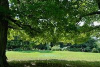 Property for sale in Oceana County, Michigan