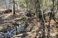 Undeveloped Land for sale in Lake County, Michigan