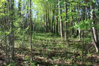 Property for sale in Allegan County, Michigan