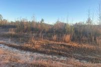 Property for sale in Wayne County, Mississippi