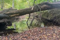 Residential Property for sale in Halifax County, Virginia