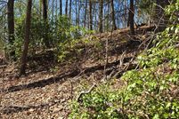 Undeveloped Land for sale in Fannin County, Georgia