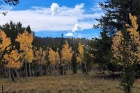 Property for sale in Park County, Colorado