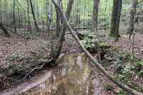 Undeveloped Land for sale in Winston County, Alabama