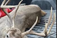 Undeveloped Land for sale in Bradley County, Arkansas