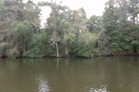 Ranch Property for sale in Sussex County, Delaware