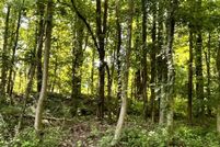 Property for sale in Calvert County, Maryland