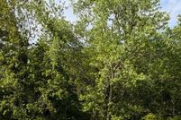 Undeveloped Land for sale in Somerset County, Maryland