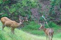 Property for sale in Bedford County, Pennsylvania