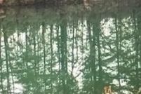 Property for sale in Burlington County, New Jersey