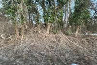 Property for sale in Prince Georges County, Maryland