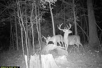 Property for sale in Avoyelles Parish, Louisiana