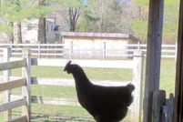 Property for sale in Bucks County, Pennsylvania