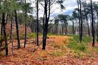 Property for sale in Salem County, New Jersey