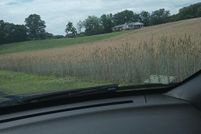 Property for sale in Prince Georges County, Maryland