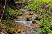 Property for sale in Hardy County, West Virginia