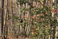 Property for sale in Fauquier County, Virginia