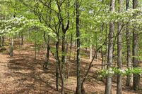 Property for sale in Morgan County, West Virginia
