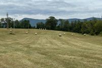 Undeveloped Land for sale in Page County, Virginia