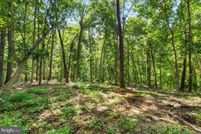 Property for sale in Berkeley County, West Virginia