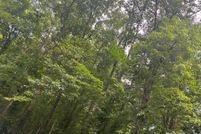 Property for sale in Madison County, Virginia