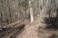 Property for sale in Shenandoah County, Virginia