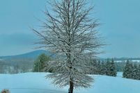 Property for sale in Shenandoah County, Virginia