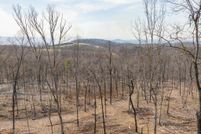 Property for sale in Shenandoah County, Virginia