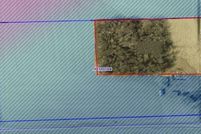 Undeveloped Land for sale in Allamakee County, Iowa