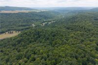 Undeveloped Land for sale in Steuben County, New York