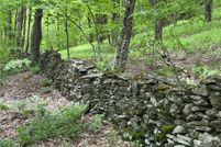 Undeveloped Land for sale in Delaware County, New York